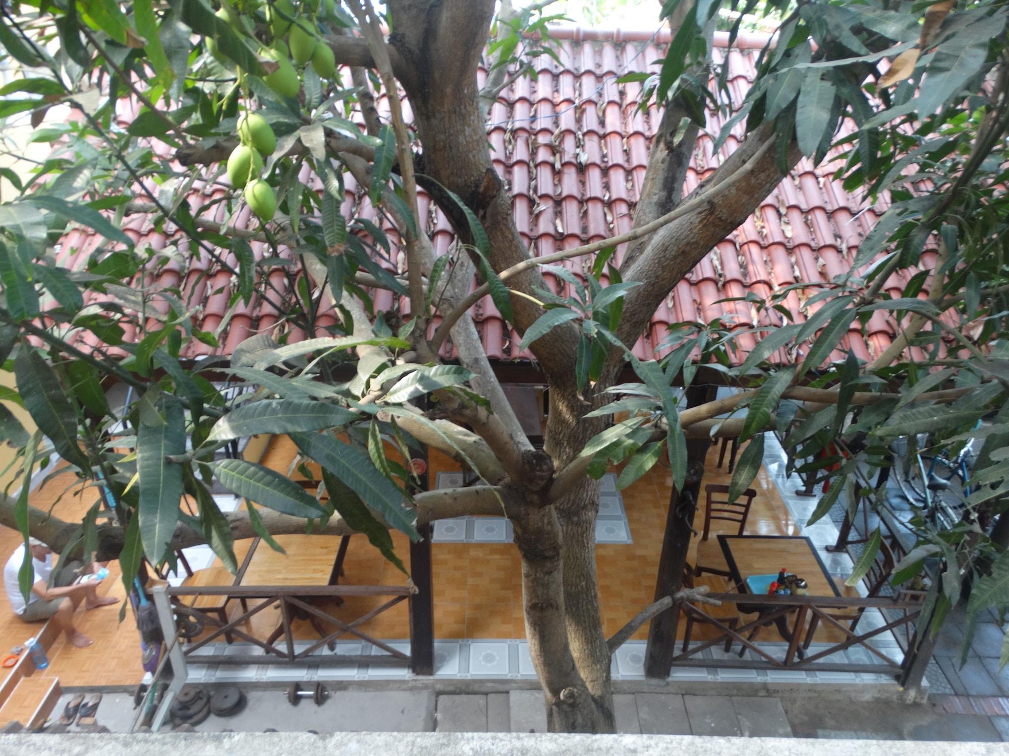 Yellow House Homestay Hội An Buitenkant foto