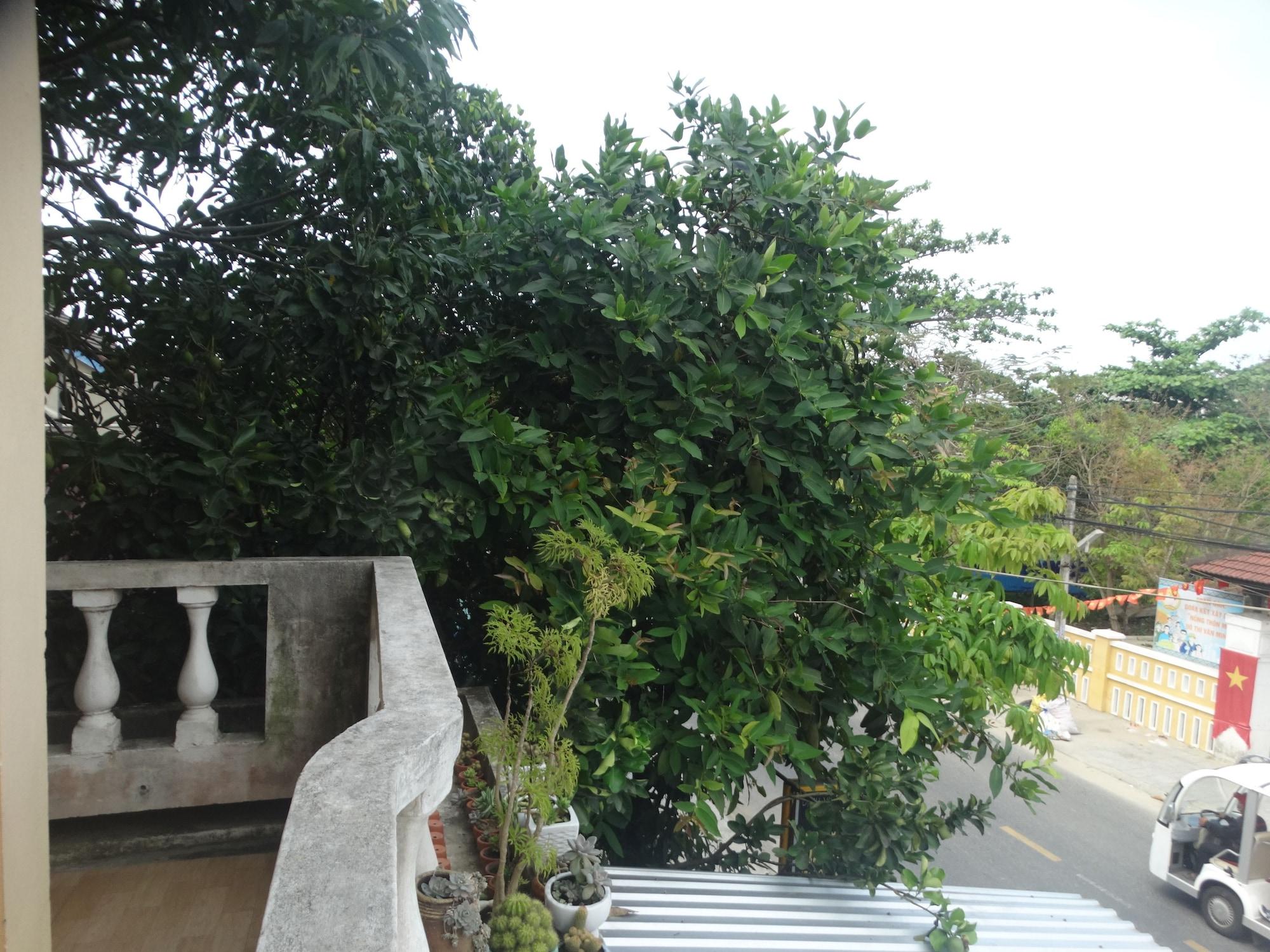 Yellow House Homestay Hội An Buitenkant foto
